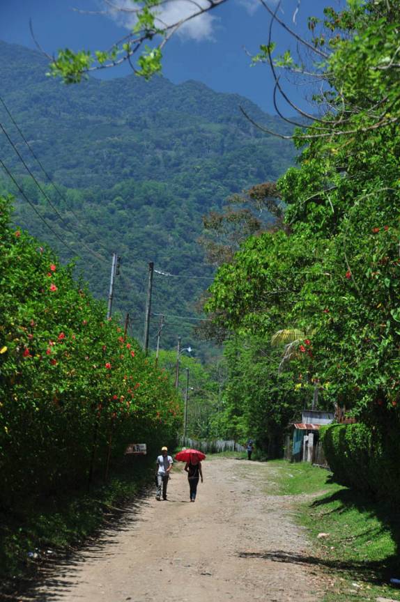 Estrada rural na região do lago Yojoa, em Honduras